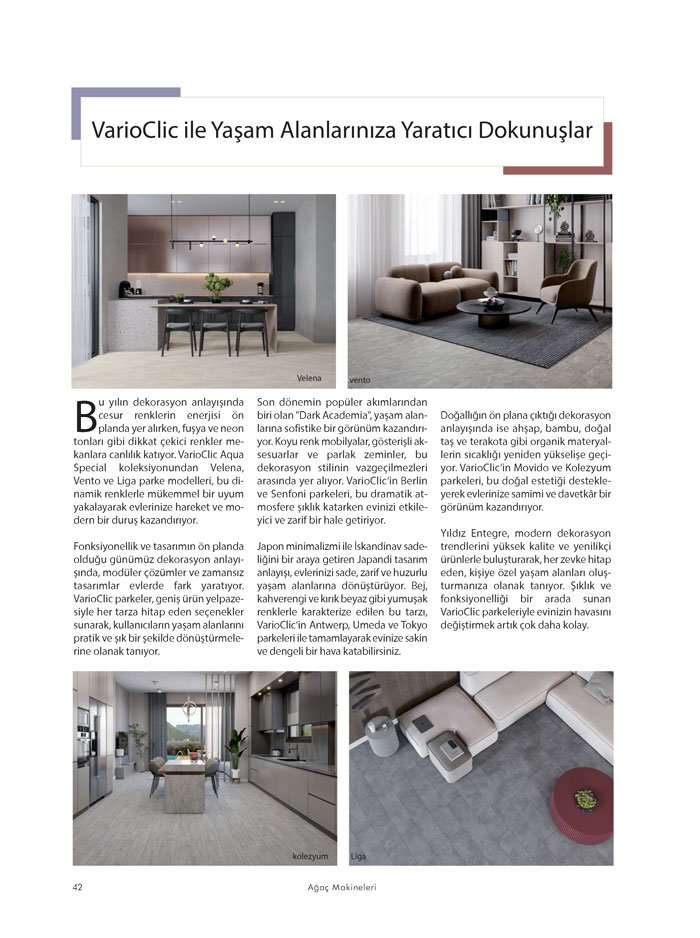 Ağaç Makineleri Dergisi Firma: Varioclick